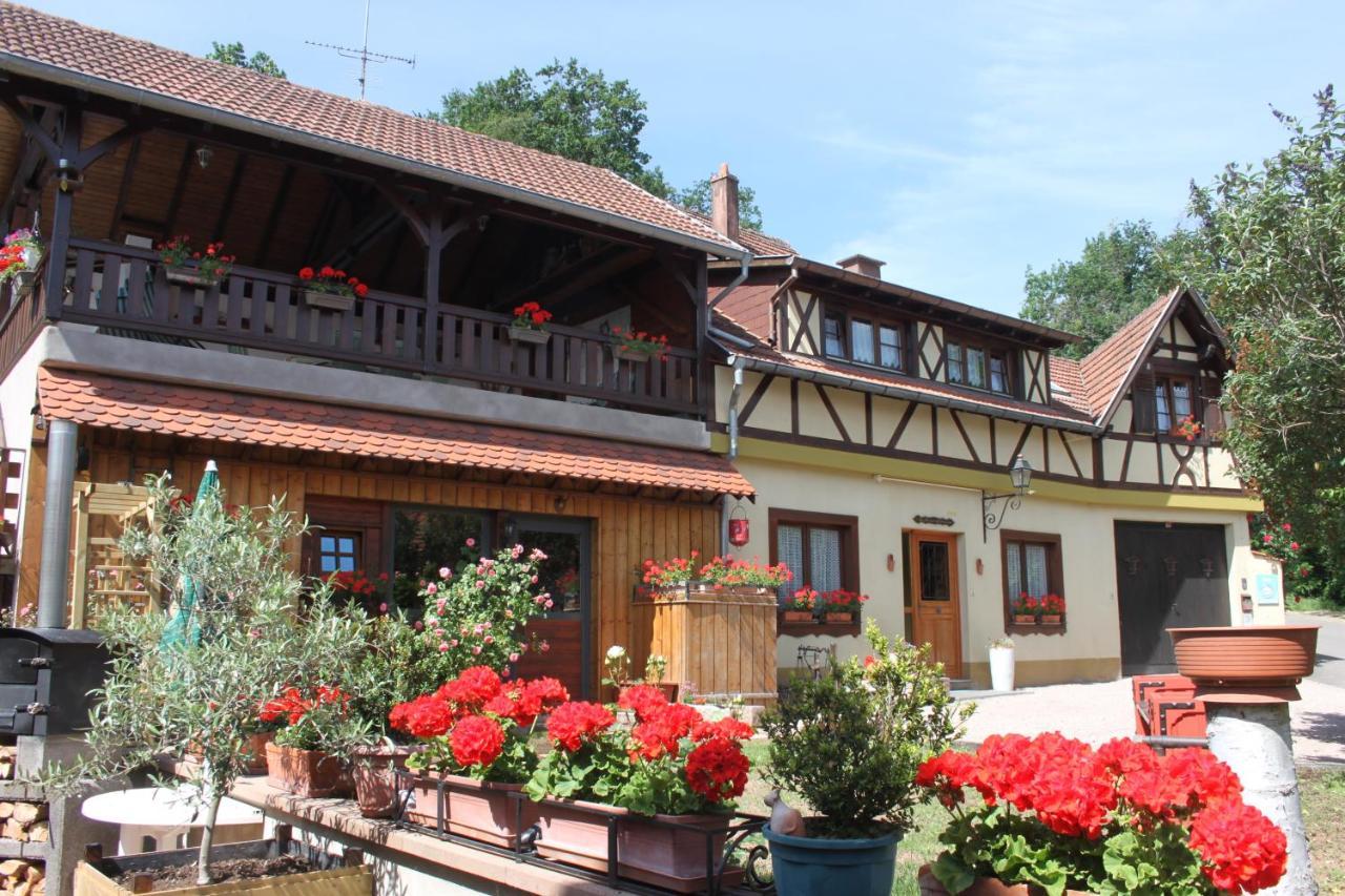 La Maison De Vacances Nothalten Luaran gambar